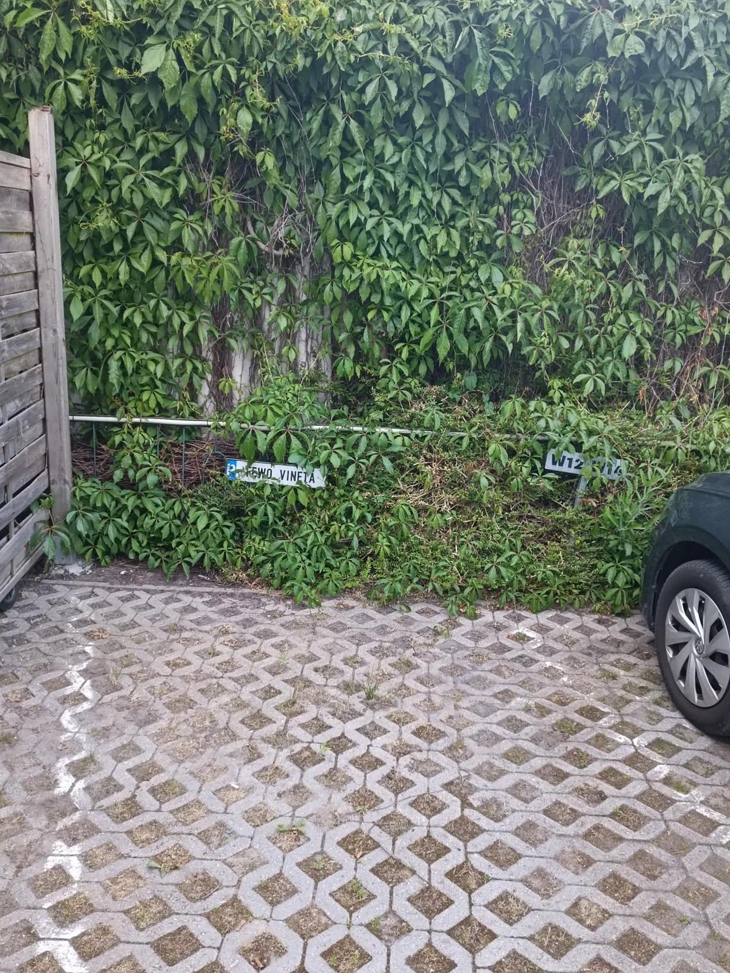 Fewo Vineta Barth Exteriér fotografie